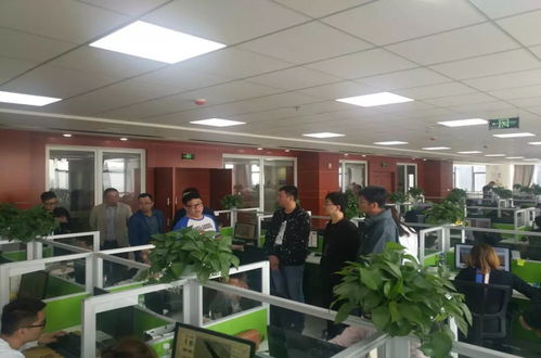 實(shí)時(shí)掌握項(xiàng)目脈搏 軟件外包服務(wù)的動(dòng)態(tài)跟蹤與管理